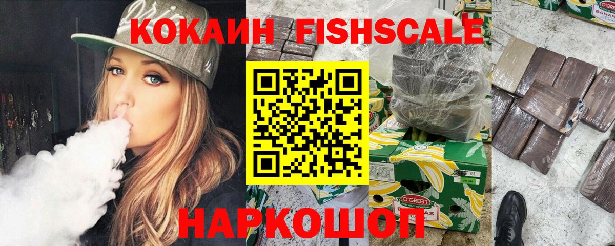 закладки  Новозыбков  КОКАИН Fish Scale  Cocaine 99% 
