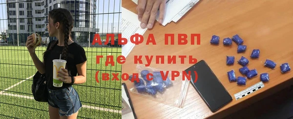 амф Кострома