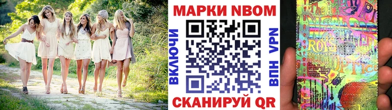 где продают наркотики  KRAKEN зеркало  Марки N-bome 1,8мг  Новозыбков 