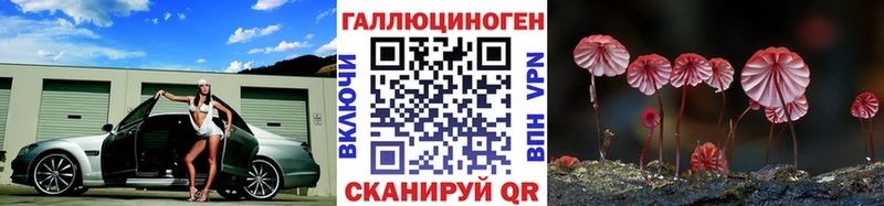 Галлюциногенные грибы Psilocybine cubensis  Новозыбков 