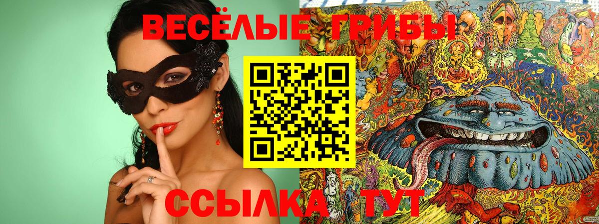 Псилоцибиновые грибы Psilocybe Новозыбков