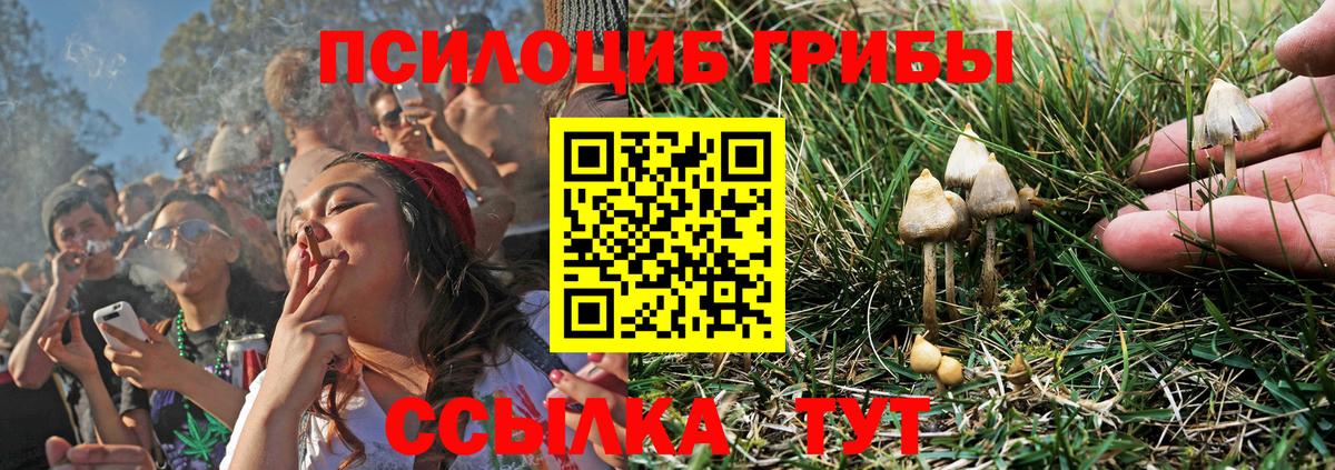 Новозыбков  Галлюциногенные грибы ЛСД  Вход с VPN 