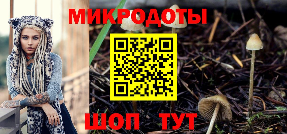 Псилоцибиновые грибы GOLDEN TEACHER  Новозыбков 