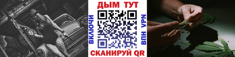 купить наркоту  Новозыбков  гидра ONION  МАРИХУАНА семена 