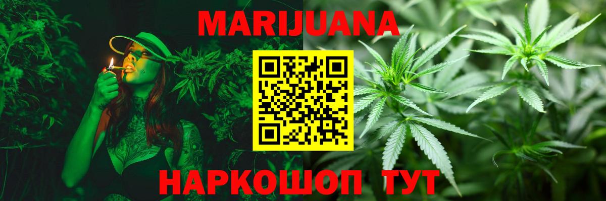 Конопля планчик Новозыбков